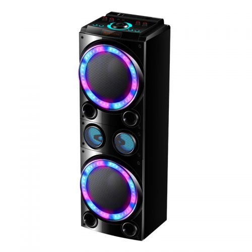 dual 12 party speaker